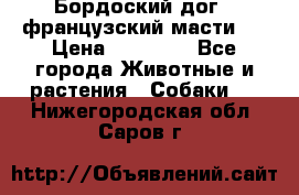 Бордоский дог ( французский масти)  › Цена ­ 50 000 - Все города Животные и растения » Собаки   . Нижегородская обл.,Саров г.